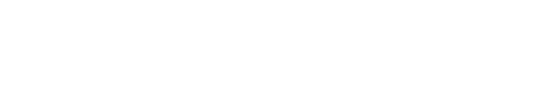 Nellson Logo
