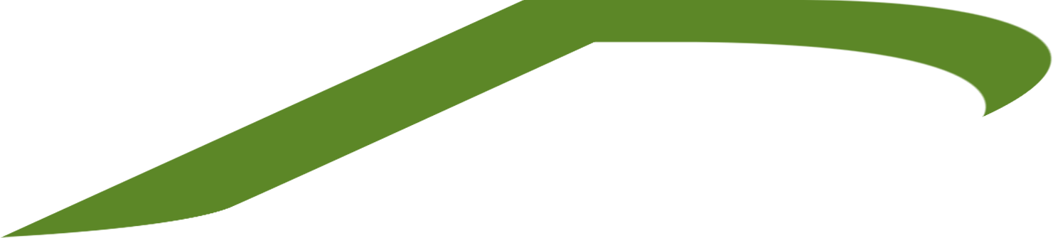 nellson logo - back half