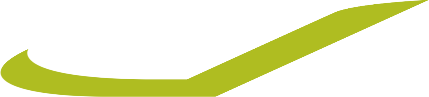 nellson logo - front half