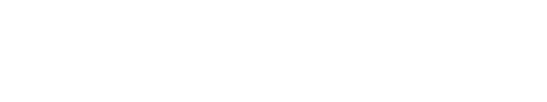 Nellson Logo